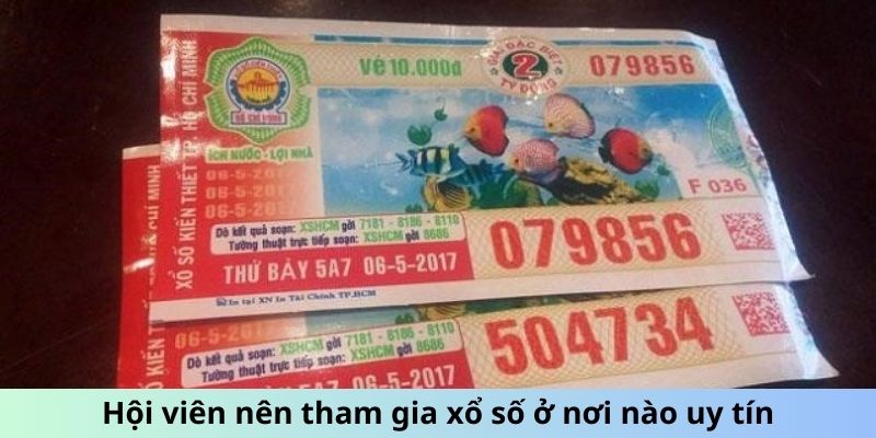 Hội viên nên tham gia xổ số miền Nam ở nơi nào uy tín