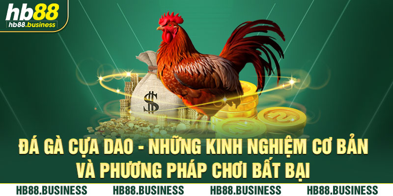 Những kinh nghiệm cơ bản đá gà cựa dao